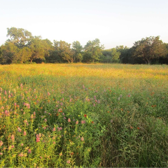 Meet your Posher, Raeli - Picture 1 of 1